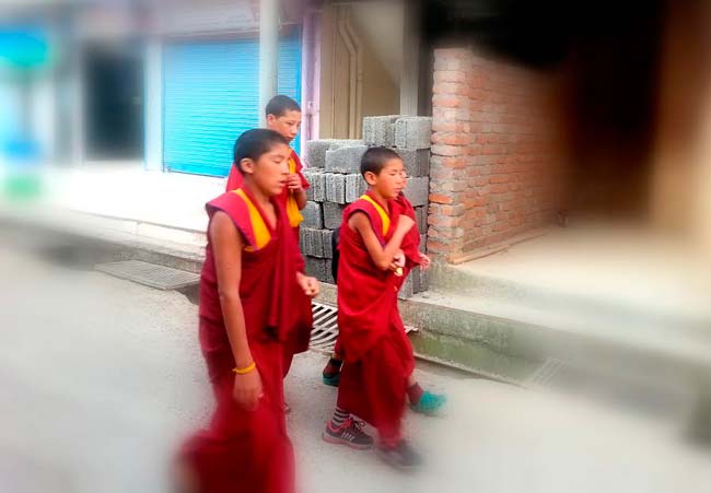 monjes tibetanos